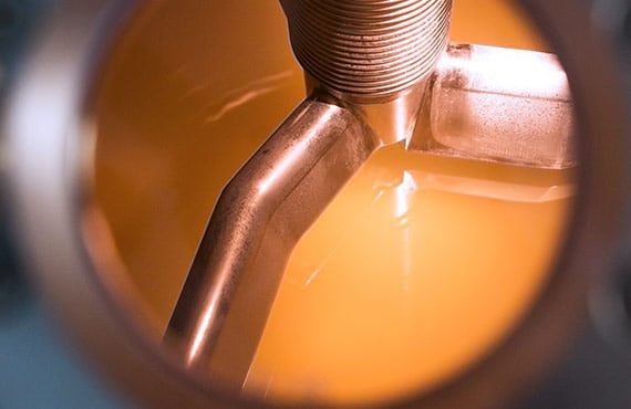 gm 1 ganglioside trb chemedica 2 570×370