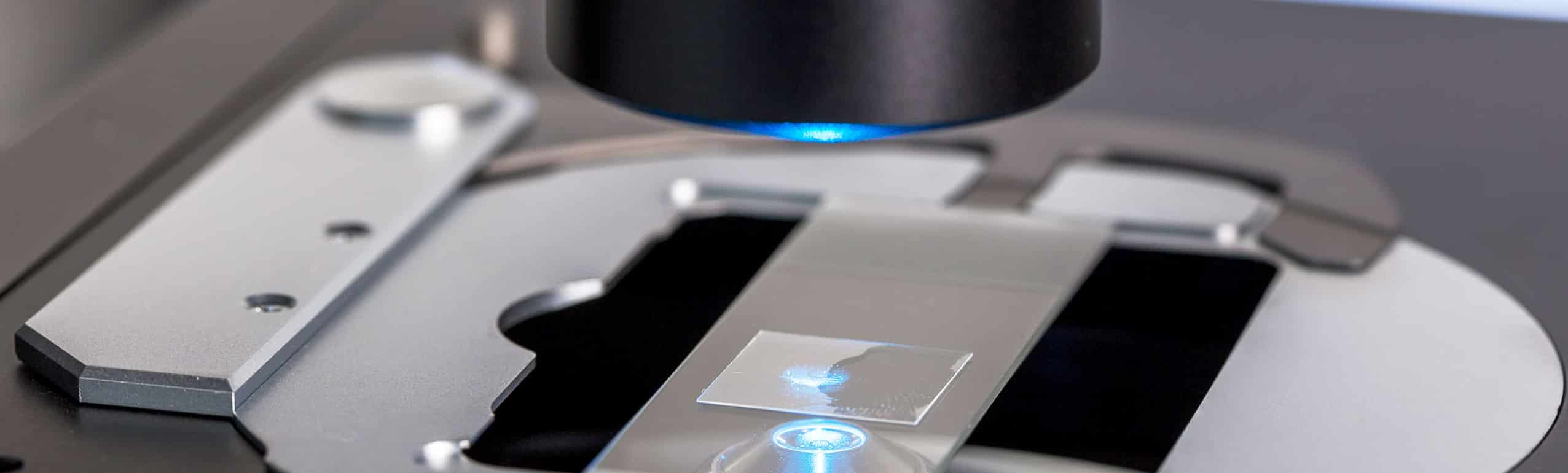 gm 1 ganglioside trb chemedica banner 2552×771 1